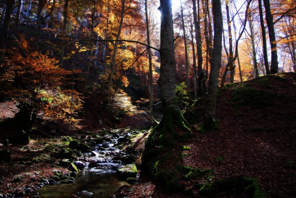 El Rajao, Tobía