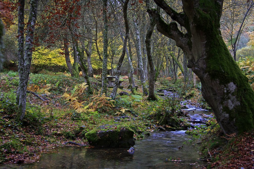 El Rajao, Tobía