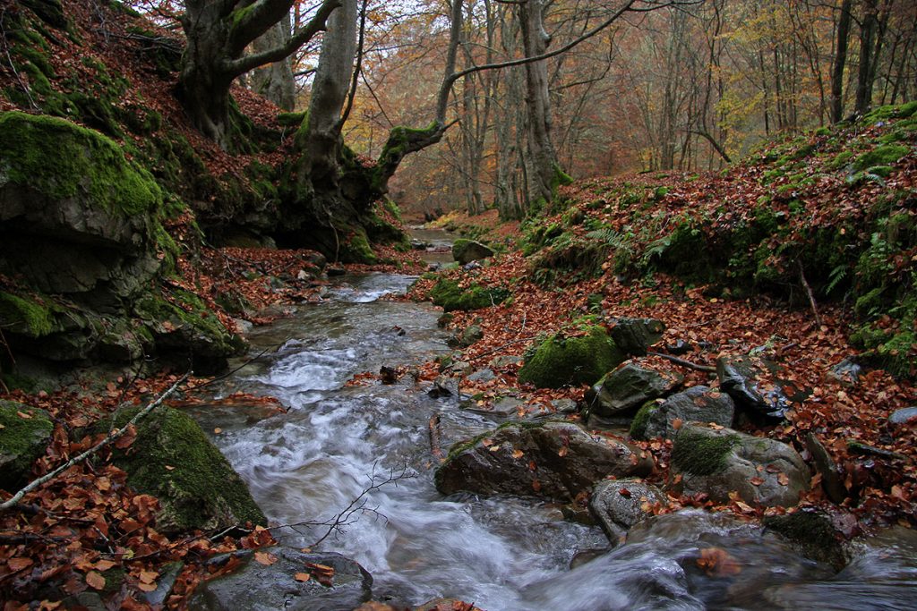 El Rajao, Tobía