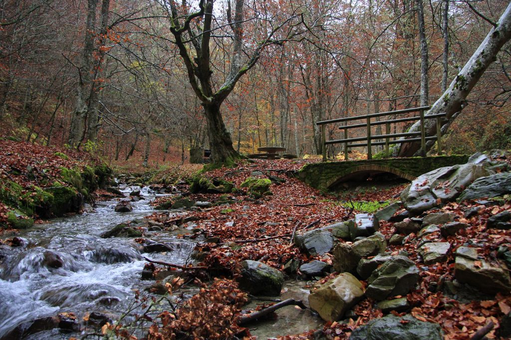 El Rajao, Tobía