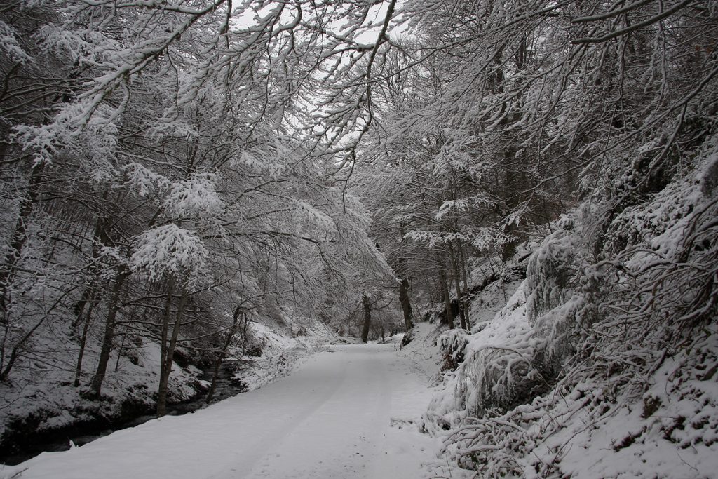 "El Rajao" cubierto por la nieve 1