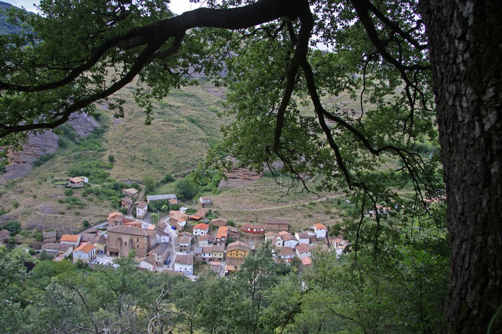 Tobía desde el Roble de las Once