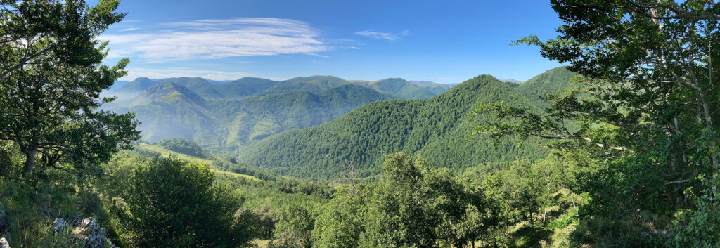 Panorámica desde el cerro