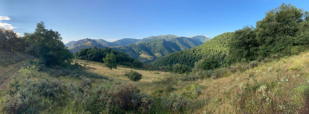 Panorámica desde la dehesa