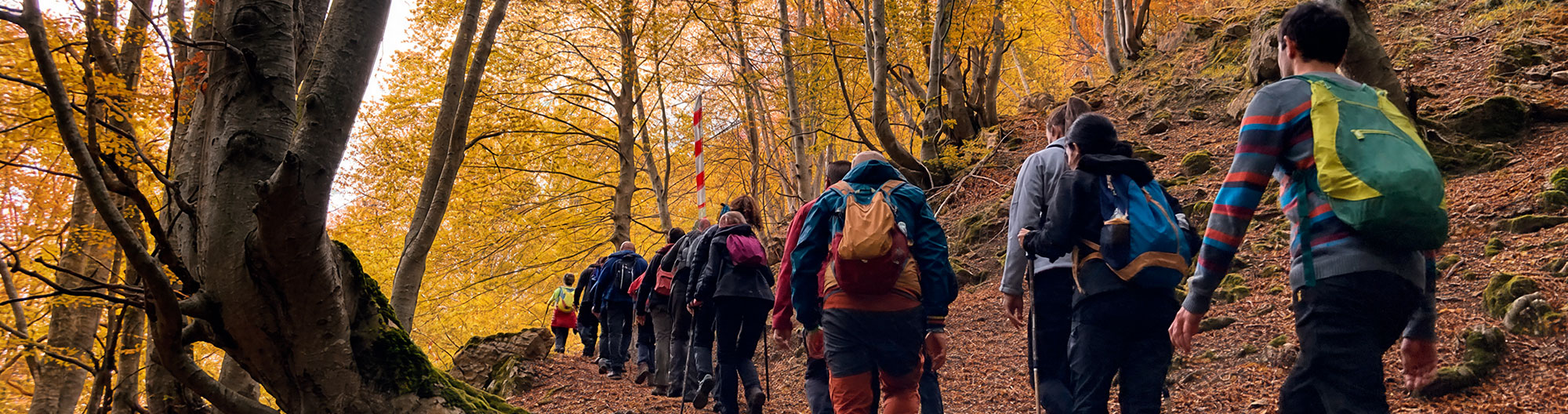 11ª Marcha de Otoño por los Montes de Tobía, 31-10-2026